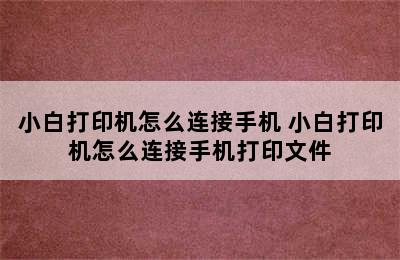 小白打印机怎么连接手机 小白打印机怎么连接手机打印文件